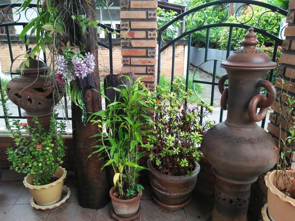 Villa Oranje Chiang Mai Bagian luar foto